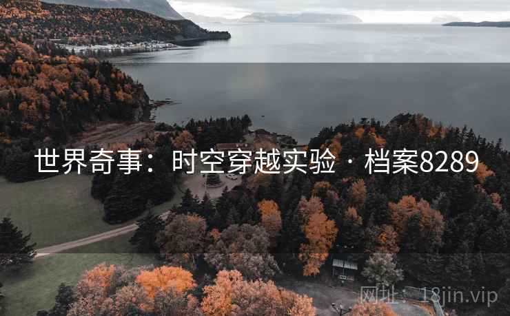 世界奇事：时空穿越实验 · 档案8289