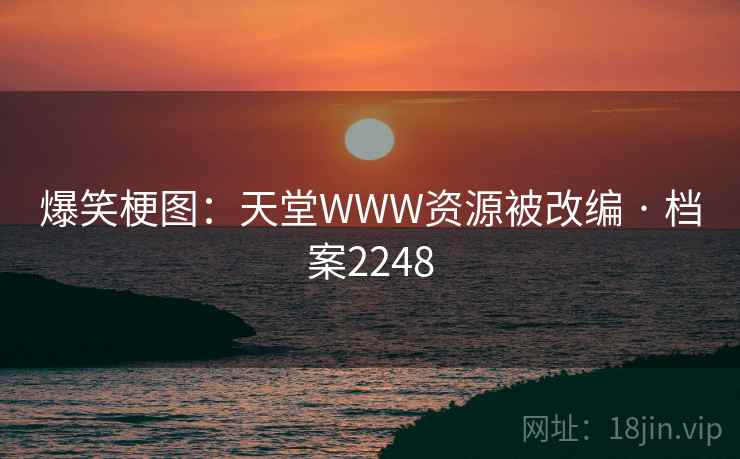 爆笑梗图：天堂WWW资源被改编 · 档案2248