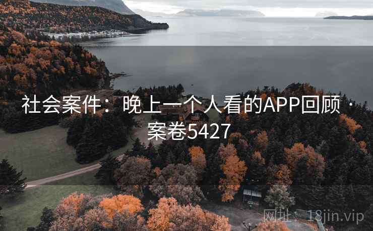 社会案件：晚上一个人看的APP回顾 · 案卷5427