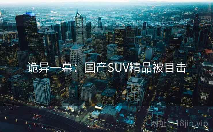 诡异一幕：国产SUV精品被目击
