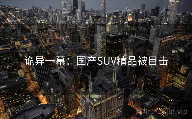 诡异一幕：国产SUV精品被目击